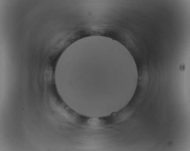 X0000113220231200910081349
