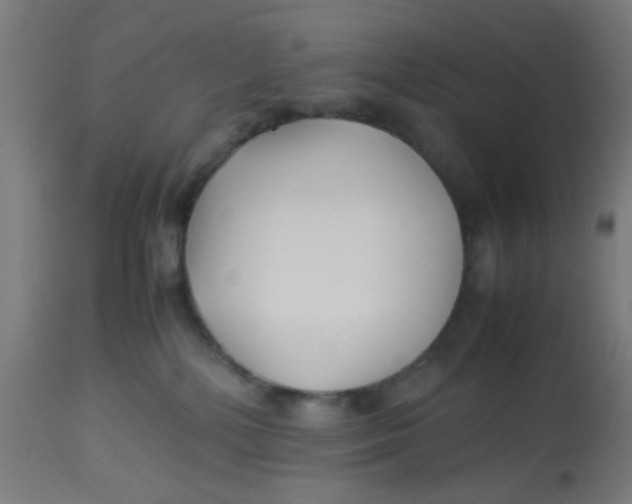 X0000113220232200910081349