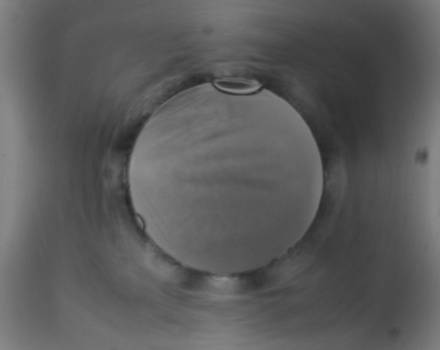 X0000113220233200910081349