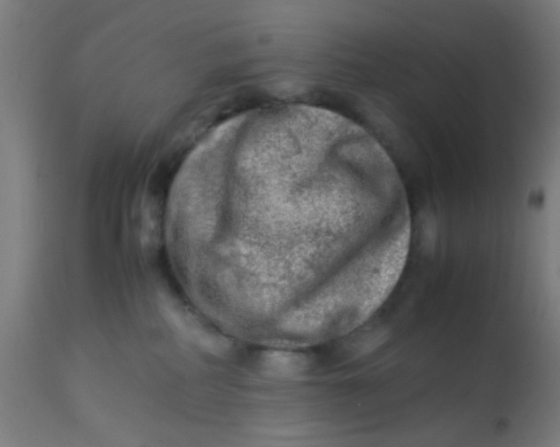 X0000113220234200910081349