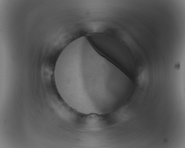 X0000113220235200910081349
