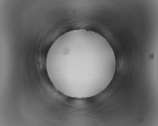X0000113220236200910081349