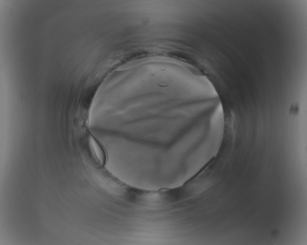 X0000113220237200910081349