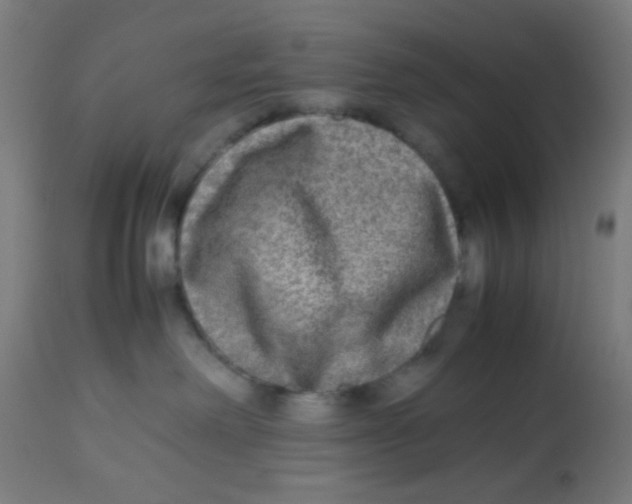 X0000113220238200910081349