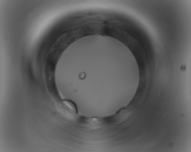 X0000113220239200910081349