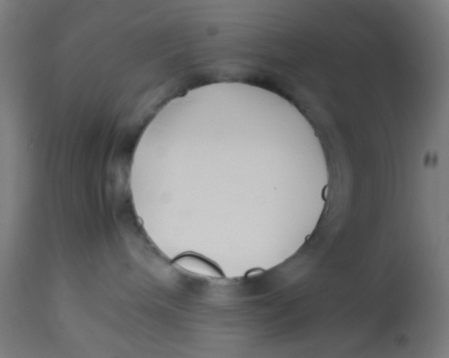X0000113220240200910081349