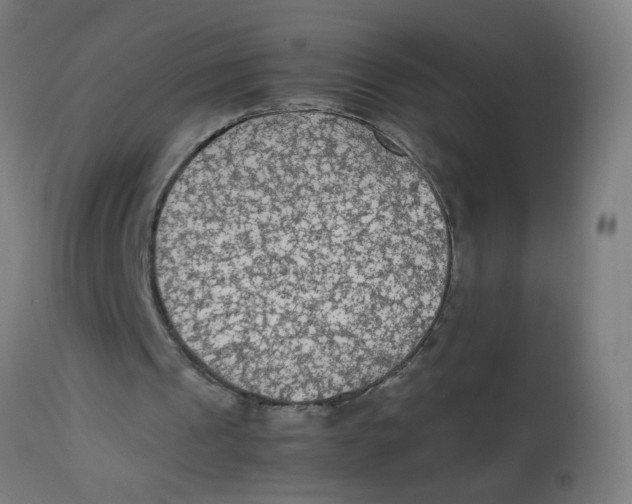 X0000113220241200910081348