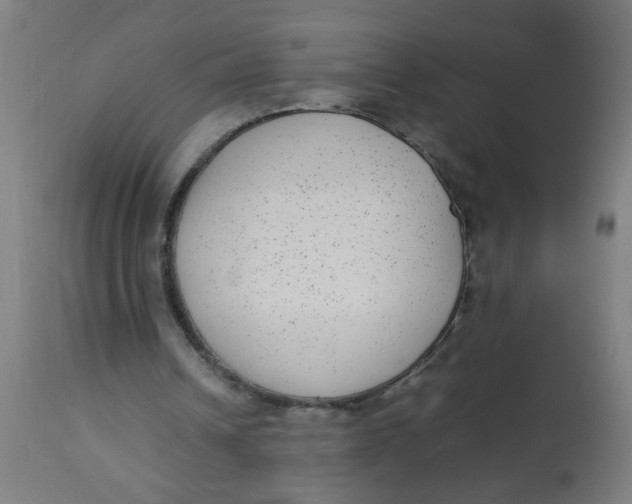 X0000113220242200910081348