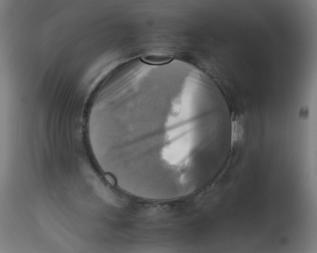 X0000113220243200910081348
