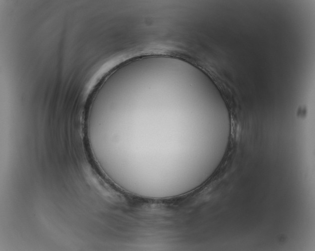 X0000113220244200910081348