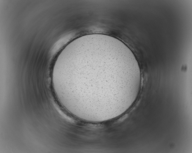 X0000113220245200910081348