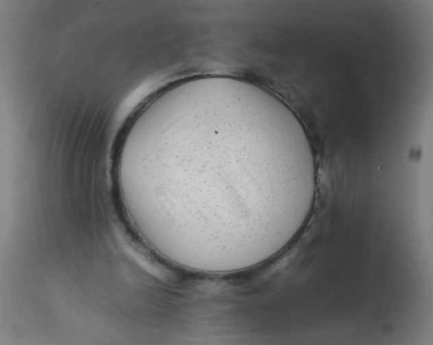 X0000113220246200910081348