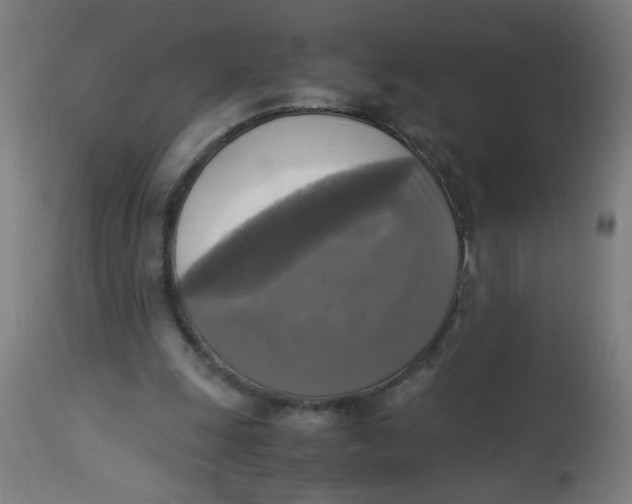 X0000113220247200910081348