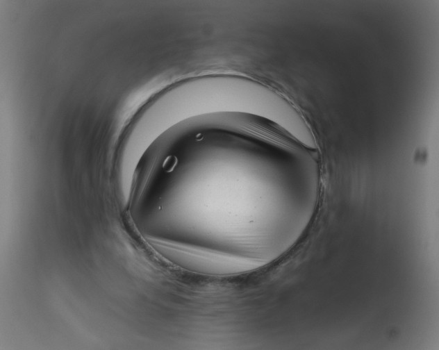 X0000113220248200910081348