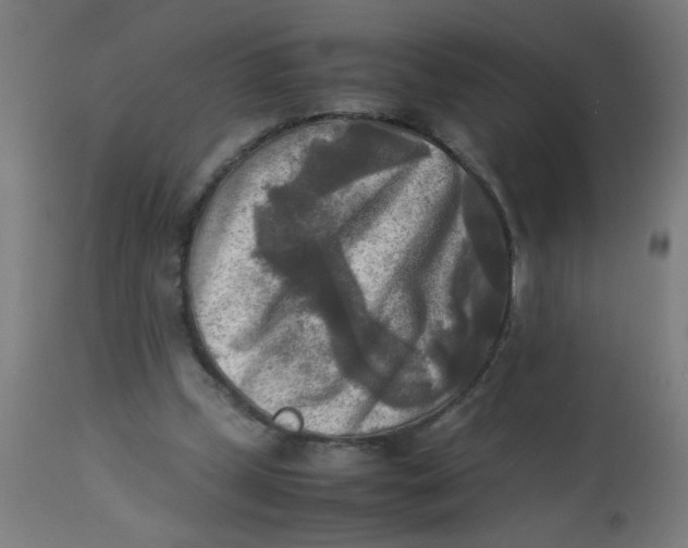 X0000113220249200910081348