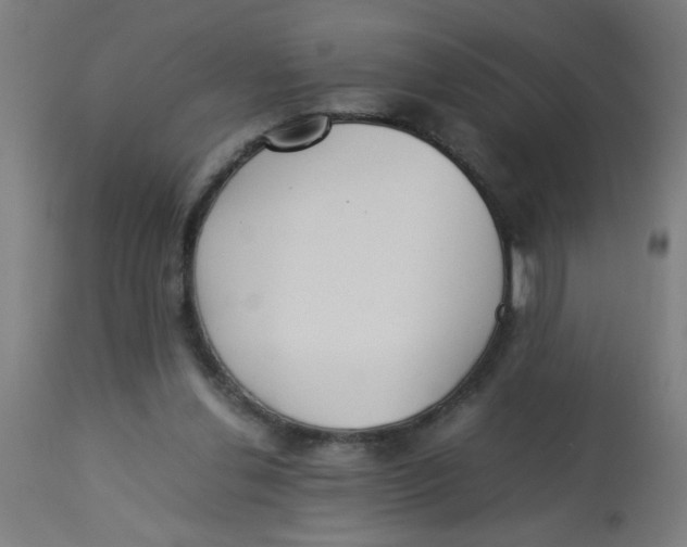X0000113220252200910081348