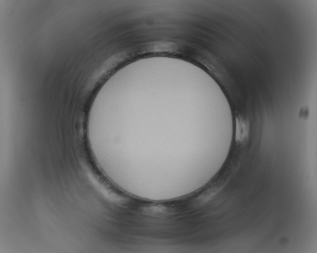 X0000113220253200910081348