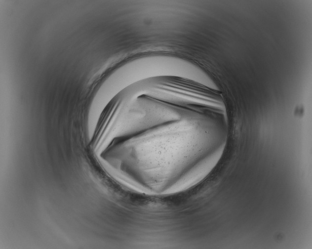X0000113220256200910081348