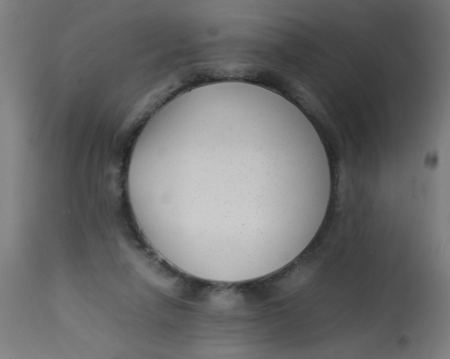 X0000113220258200910081348