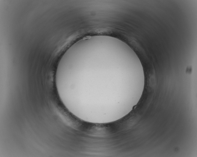 X0000113220260200910081348