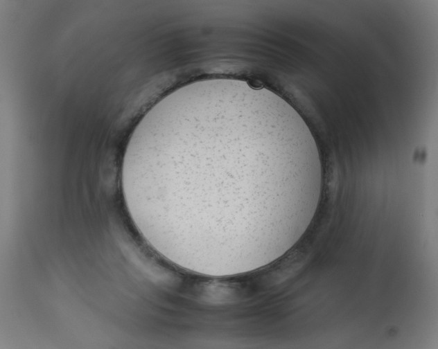 X0000113220261200910081348