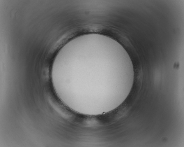 X0000113220262200910081348