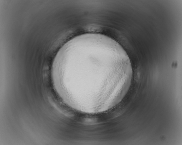 X0000113220263200910081348