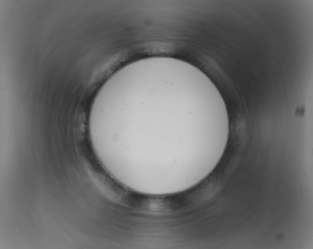 X0000113220264200910081348