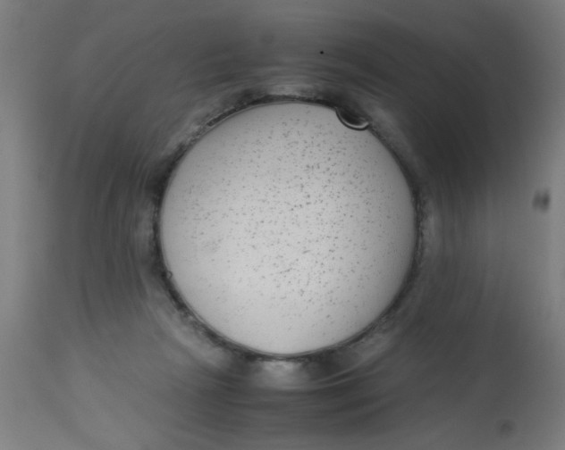 X0000113220265200910081348