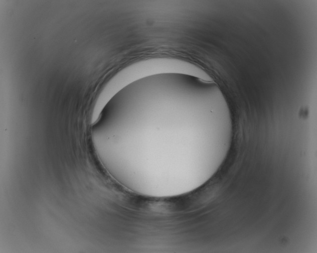 X0000113220268200910081349