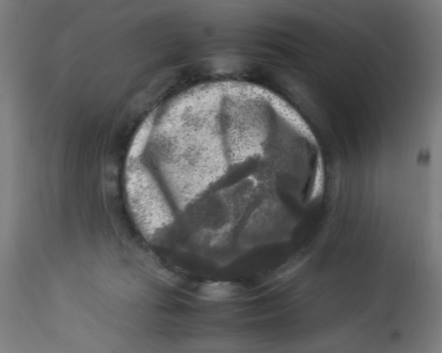 X0000113220269200910081349