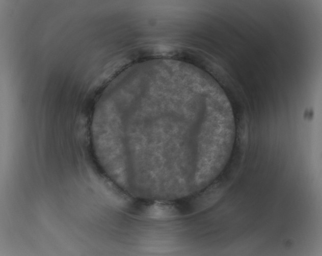 X0000113220270200910081349