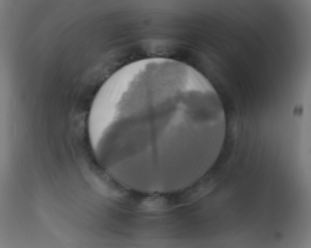 X0000113220271200910081349