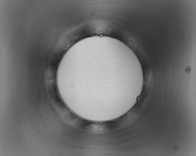 X0000113220272200910081349