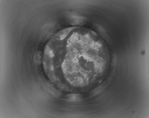 X0000113220273200910081349