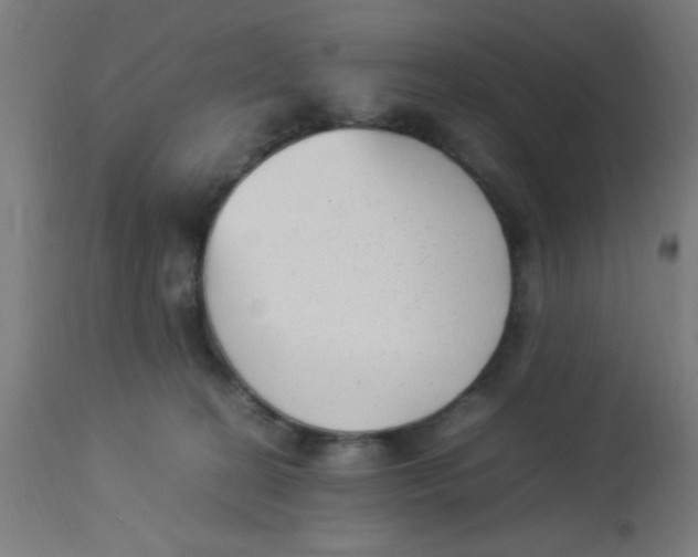 X0000113220274200910081349