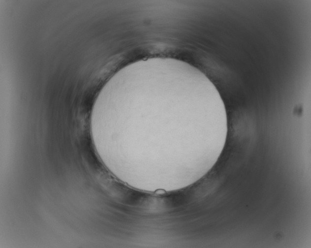 X0000113220276200910081349