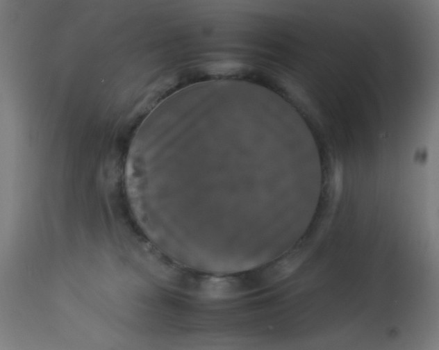 X0000113220277200910081349