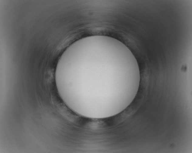 X0000113220278200910081349