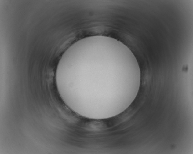 X0000113220279200910081349