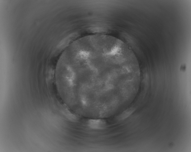 X0000113220281200910081349