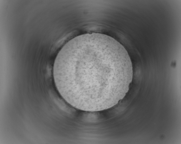 X0000113220282200910081349