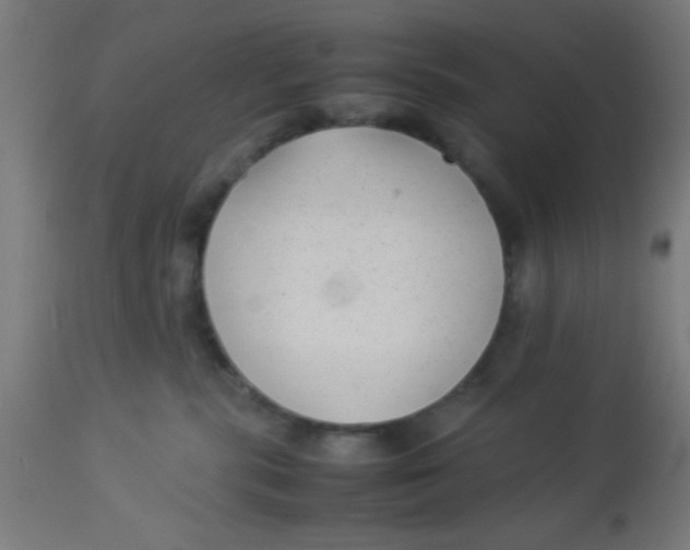 X0000113220283200910081349