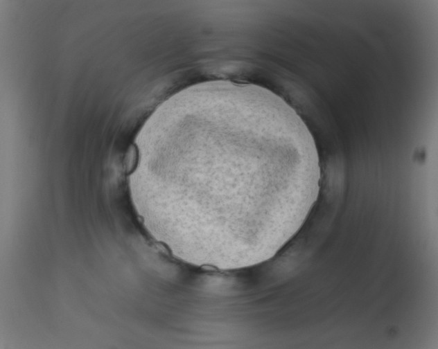 X0000113220284200910081349
