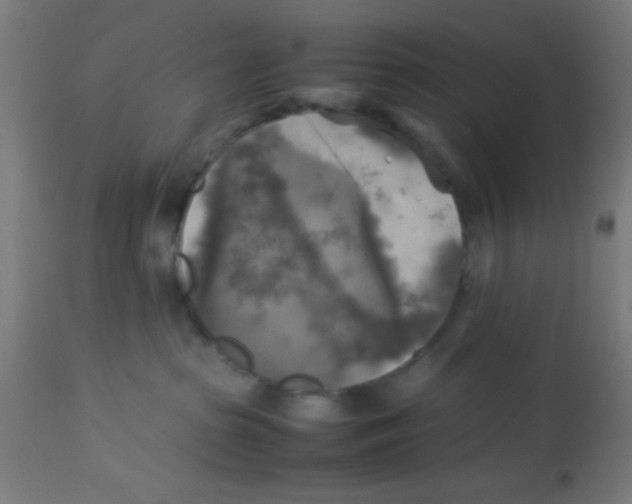 X0000113220285200910081349