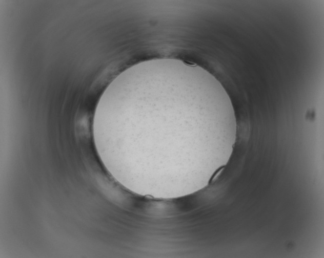 X0000113220286200910081349