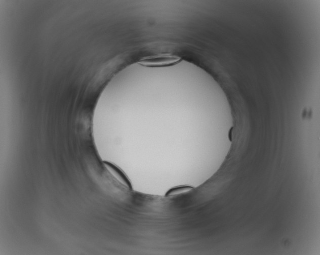 X0000113220288200910081349