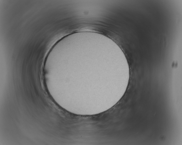 X0000113220289200910081348