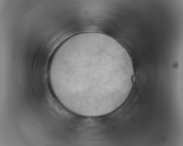 X0000113220290200910081348