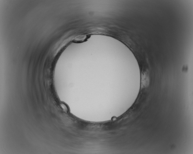 X0000113220291200910081348